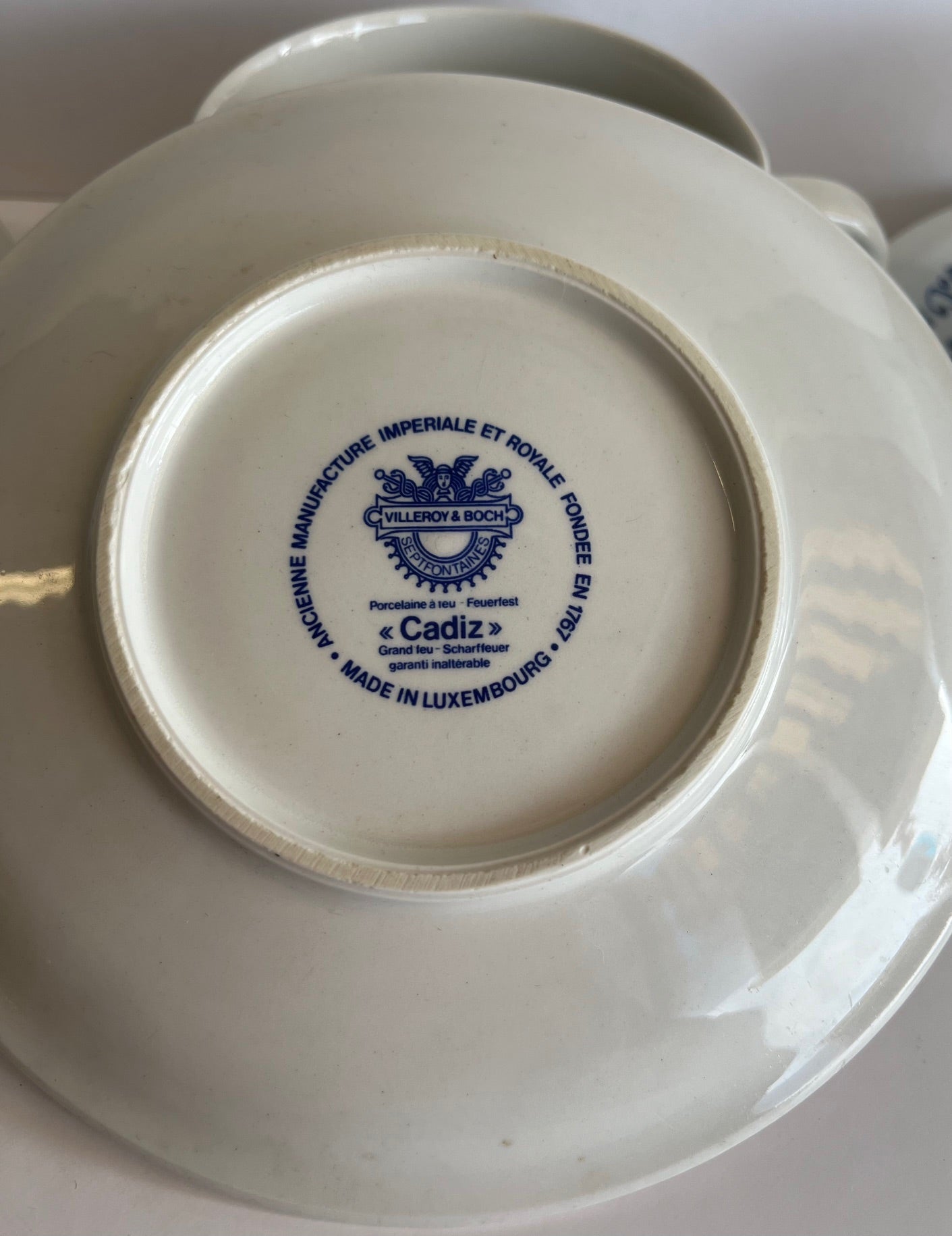 Villeroy & Boch 'Cadiz' Teacup and Saucer