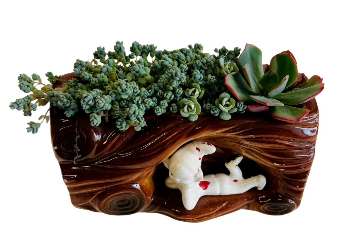 Mid Century Pixie Planter With Succulents