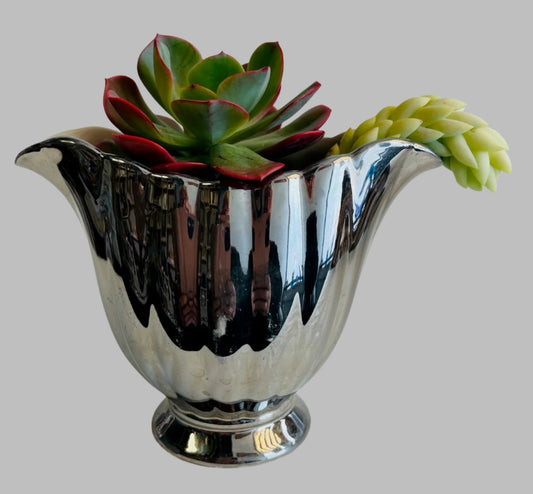 Silver Fluted Pot With Succulents