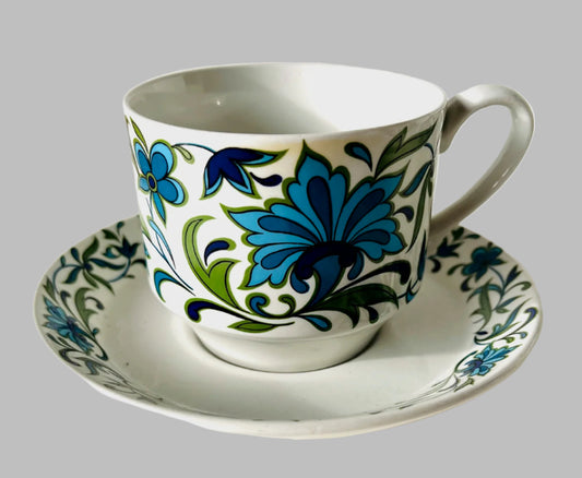 Midwinter 'Spanish Garden' Cup and Saucer