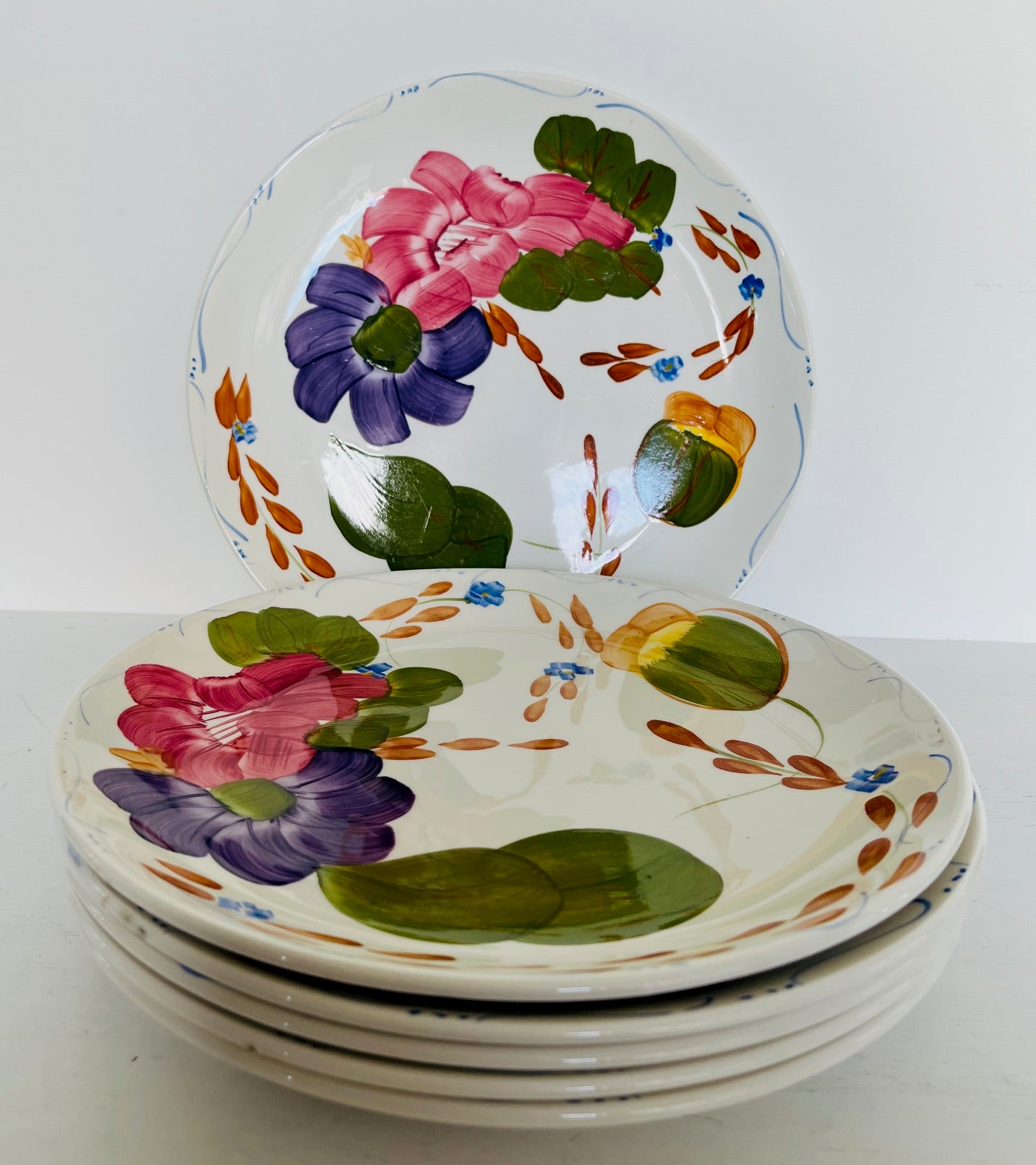 Crown Lynn "Fleurette" Dinner Plates (6)